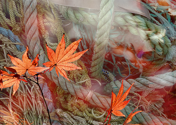 Autumn tones